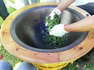 炒茶专用锅小型家用温控手工茶叶烘焙杀青机制茶油茶加工炉电炒锅