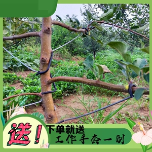 700人付款淘宝高枝锯树枝高空修剪锯树绿化不锈钢高处切割树木树园