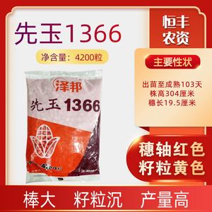 先玉1366大田玉米种子美国先锋高产包邮春夏国审抗倒耐密粮饲兼用