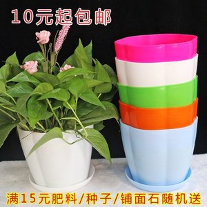 自动吸水盘