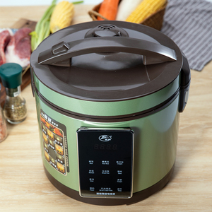 飞鹿电饭煲智能家用多功能5升陶瓷内胆煮饭锅大容量煮粥汤3一4人