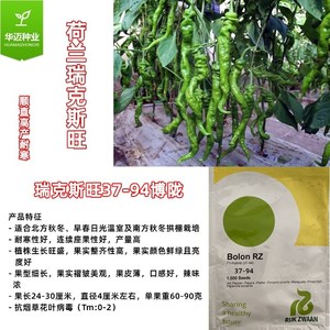 37-94博陇辣椒种子 瑞克斯旺螺丝椒种籽耐寒坐果率集中陇椒香辣味