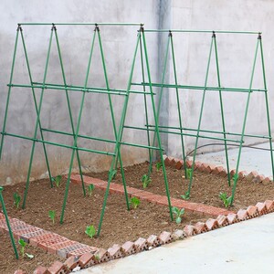 黄瓜豆角架爬藤架杆花架庭院支撑架植物家用种菜架固定攀爬户外