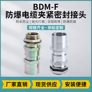 BDM-F 防爆电缆夹紧密封接头 304不锈钢/黄铜/碳钢接头 规格齐全