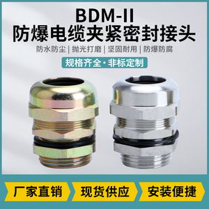BDM-II 防爆电缆夹紧密封接头 304不锈钢/黄铜接头 规格齐全