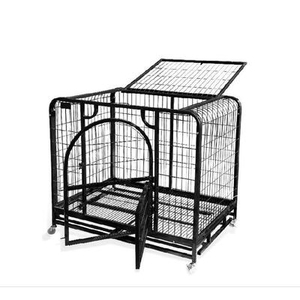 狗狗展示跑笼泰迪