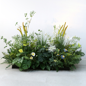 【绿色花草植物】绿色花草植物品牌,价格 - 阿里巴巴