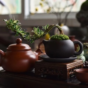 【杜鹃花花盆紫砂】杜鹃花花盆紫砂品牌,价格 - 阿里巴巴