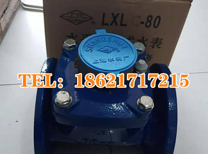lxlc -16c上海水表厂上水牌可拆式水表 机械水表dn80 100 150 200