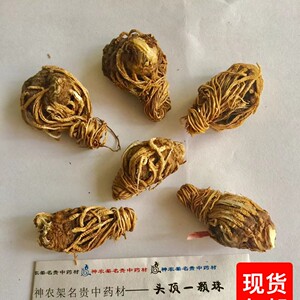 神农架野生头顶一颗珠头疼头晕脱发白发泡酒磨粉炖鸡蛋花
