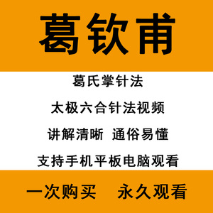 葛钦甫中医天涯学习课程葛氏掌针法太极六合针法培训视频合集