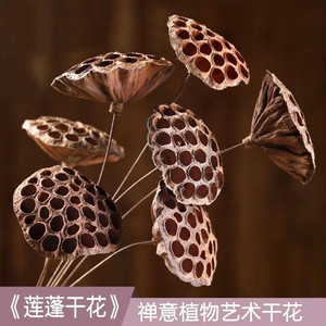 diy荷叶摆件莲藕干花壁挂干枝风干花束莲藕小清新干枯餐桌花桌面