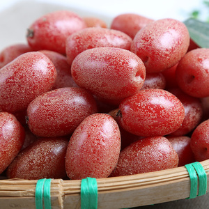 云南羊奶果新鲜云南临沧特产现摘甜牛奶果孕妇水果包邮酸带纯