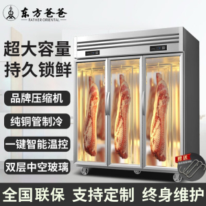 东方爸爸挂肉柜商用立式鲜肉柜冷冻吊肉冰柜牛羊肉保鲜排酸展示柜