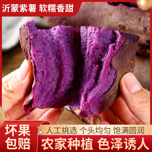 山东紫薯新鲜红薯蔬菜紫心薯糖心蜜薯农家番薯10越南大果直销产地