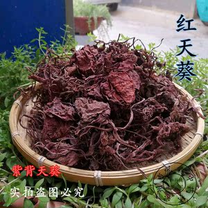 青天葵草