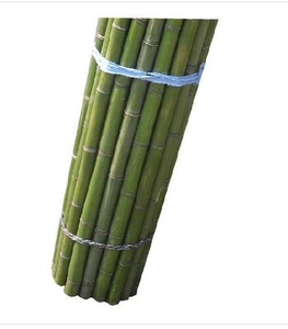 露台小竹子细竹竿种菜花槽绿萝毛竹杆菜园扎栏杆子竹料四季豆插杆