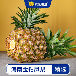 5斤起】正宗海南金钻凤梨 当季大菠萝产地直发整箱包邮