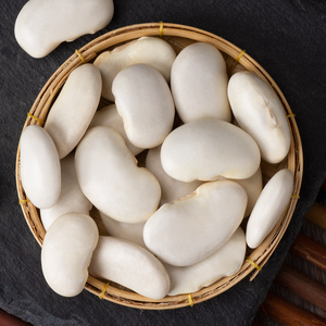 云南特产白芸豆5斤 散装新鲜干货大白豆白芸豆大白豆子农家非即食