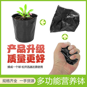 营养袋育苗袋大号一q次性黑色育苗盆塑料营养杯育苗杯种树苗营养