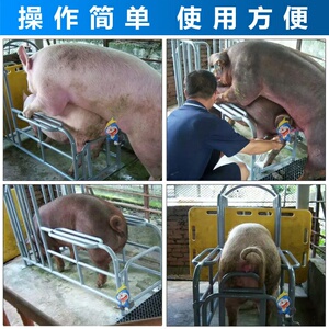 750人付款淘宝中华旺畜牛羊猪人工授精设备兽用母猪假母台包邮爬猪台