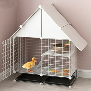 柯尔鸭笼子别墅专用宠物小鸭子养小鸡的窝家用防老鼠笼子小型室外