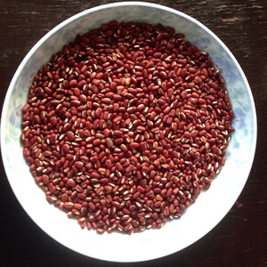 崇明特产 野生小红豆 野生赤豆 瞎眼赤 五谷杂粮崇明岛天然特产