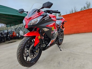 二手地平线 大排小忍者摩托车跑车重型机车北极光250cc公路赛趴赛