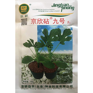 京欣砧9号砧木种子 四季砧木种 西瓜甜瓜砧木种籽 京研白籽南瓜种