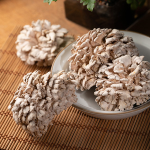 白参菌新鲜云南当季时令蔬菜菌类蔬菜蘑菇雪莲菌煲汤火锅食材500g