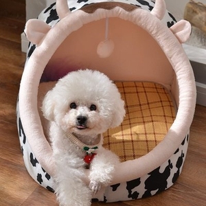 茶杯犬小窝夏天