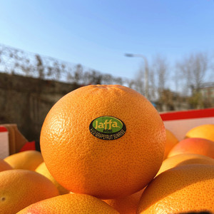 以色列进口红心西柚jaffa新鲜柚子葡萄柚孕妇水果补充叶酸6个