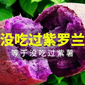 紫薯新鲜地瓜紫心红薯现挖沙地蜜番薯山芋农家紫罗兰应季蔬菜包邮