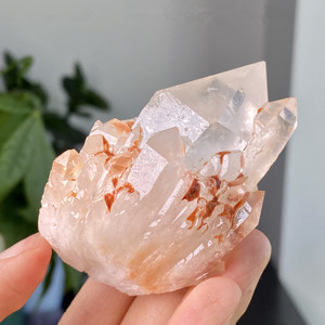 天然水晶菠萝晶簇原色摆件白水晶透体原石完整菠萝晶家庭办公摆件