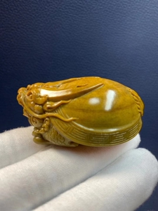 析木玉,龙龟把件 规格:高62,宽44,厚26,重108克