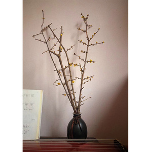 罗密欧庄园 干枝腊梅浓香型水培鲜切花植物泡水插花梅花枝条客厅