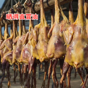 伊露lu淘宝鲜冻黄皮三黄鸡一件11-14只整件净重19斤全净膛江浙沪皖