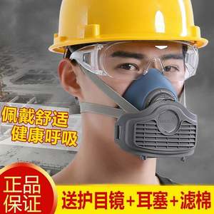 3600防毒口罩喷漆打农药油漆化工异味气体防尘猪嘴防护面具粉尘.