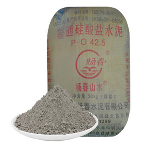 水泥硅酸盐po42.5大学实验425山水防水补漏洞快干硬早强袋装九七