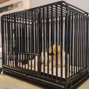 柯基犬专用钢筋焊接狗笼边牧萨摩耶狗笼子大型犬围栏式哈士奇室外