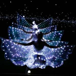 8LED发光翅膀芭蕾舞表演服荧光蝴蝶舞披风舞蹈服装肚皮舞斗篷道具