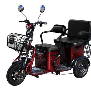 大安新款电动三轮车女士国标电瓶车老年人进电梯家用小型三轮车.