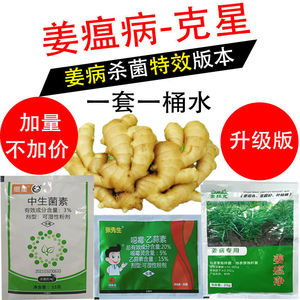 河南北美收肥业有限公司淘宝大姜姜瘟病专用药 防治生姜烂脖子病