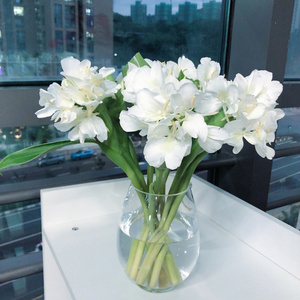 精选姜花水养鲜花带香味植物花卉家居桌面插花送人基地直发顺丰