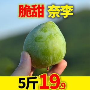 广西桂林奈李新鲜水果5斤孕妇桃形李子青脆空心青奈脆甜李子