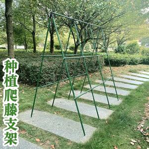 爬藤架子定支卉阳台种菜杆v搭棚墙上花架托架黄瓜葫芦架固花牵引