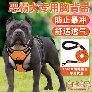 恶霸犬卡斯罗专用狗狗牵引绳背心式幼犬胸背带狗链中大型犬用品