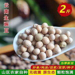 云南哀牢山农家自种老品种生豌豆豆尖豌豆苗可种做豌杂面豆芽1kg