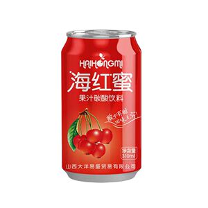 山西特产河曲特产果汁碳酸饮料海红蜜310ml*20罐装