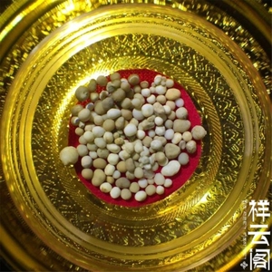 五明学院一五年天降坚固子 限拍5颗  供舍利塔嘎乌盒